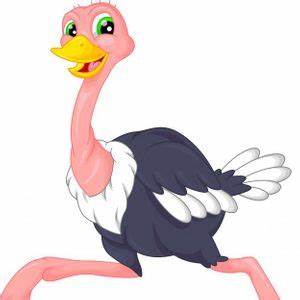 Mi opera inicia pero no se abre las ventanas