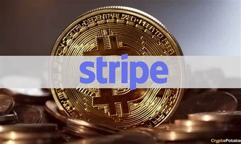 Global Payment Processor Stripe Makes Billion Dollar Crypto Bet: Best New Crypto to Buy in 2025? - 99Bitcoins