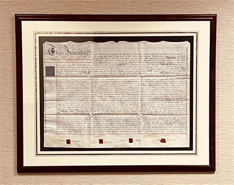 I'm Rebelling Against the Algorithm