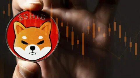 Shiba Inu burn rate surges as Shytoshi Kusama says SHIB ETF is ‘one step closer’ - TheStreet