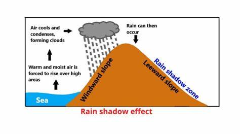 The Magnetic Shadow Effect [video]