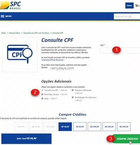 Como consultar a situação do CPF no SPC Brasil?