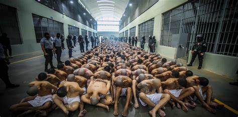 El Salvador’s President Nayib Bukele Offers To House US Criminals In His Country’s Jails