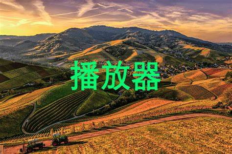 为什么国外大部分人都会选着用vlc，但国内却对vlc 