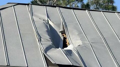 Ice Chunk Falls From a Plane and Impales Couple’s Bedroom Roof While They’re Sleeping: Does Insurance Cover It? - Yahoo Life
