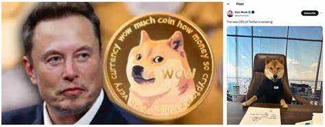 Meme Coins: How Social Consensus Plays Into An Investment - Rolling Stone