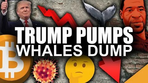 Trump Pump & Dump - ForexLive
