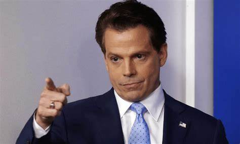 Anthony Scaramucci says he is ‘working alongside' Kamala Harris on her campaign's crypto policies