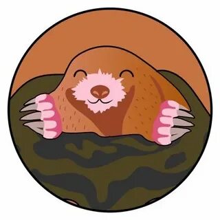 Molly Price: MOLLY Live Price Chart, Market Cap & News Today - CoinGecko Buzz