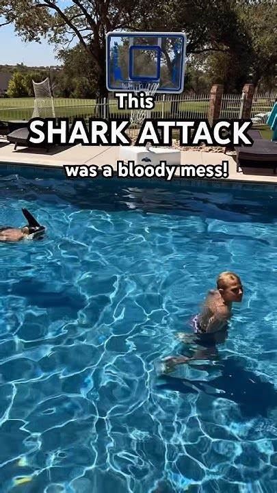 How to not get eaten by a shark, explained by professional divers
