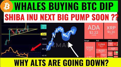 Whales buy 540 million XRP in the dip; Is $3 next?