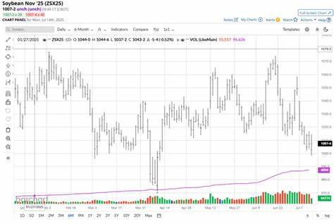 Grain Market Bears Seized the Moment Last Week. What That Means for Corn, Soybeans, and Wheat