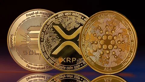 FAT Brands accepting cryptocurrency for franchisee royalty payments - fastcasual.com