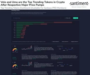 VELO Token Skyrockets 358%, Dubbed ‘XRP of Southeast Asia’ - BeInCrypto