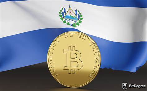 El Salvador Acquires 11 Bitcoins Shortly After Finalizing IMF Agreement
