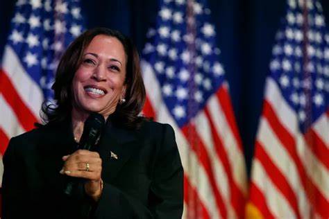 In pitch to Black men, Harris proposes forgivable loans to Black entrepreneurs - KXLF News