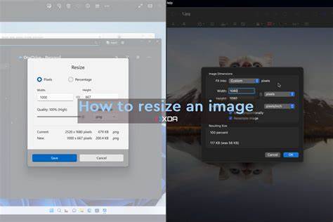 How can I resize an Image respecting COCO format to go along with it
