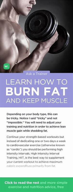 Experimental drug burns fat and reduces blood sugar while preserving muscle mass