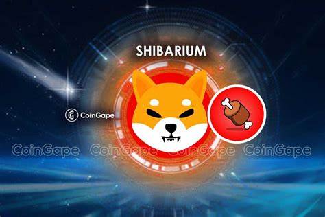 Shiba Inu's layer 3 blockchain set to power up blockchain real-world utility: Cypher Capital Chairman - Crypto Briefing