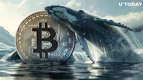 Bitcoin enters ‘new era’ as whales scoop up over 47K BTC during 