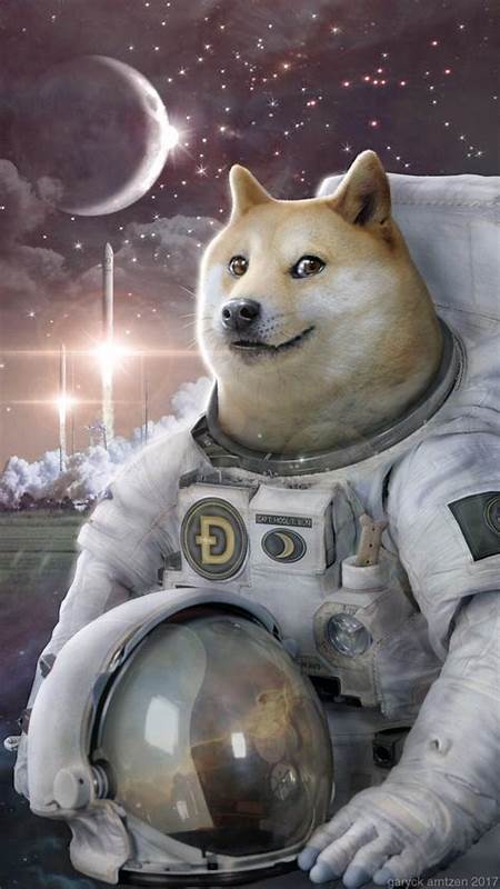 Dogecoin (DOGE) Facing New Stress Test, Will It Pass? - Head Topics