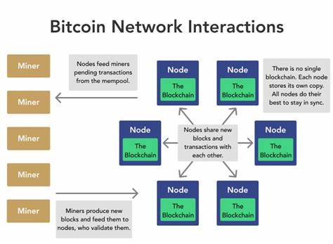 What Are Bitcoin Nodes? – Understanding the Blockchain Nodes - Cryptonews