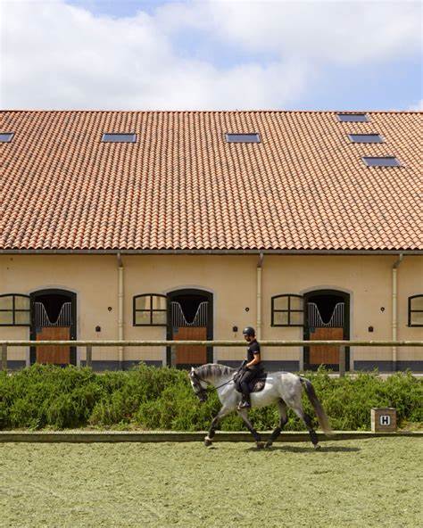 Architectural Dressage