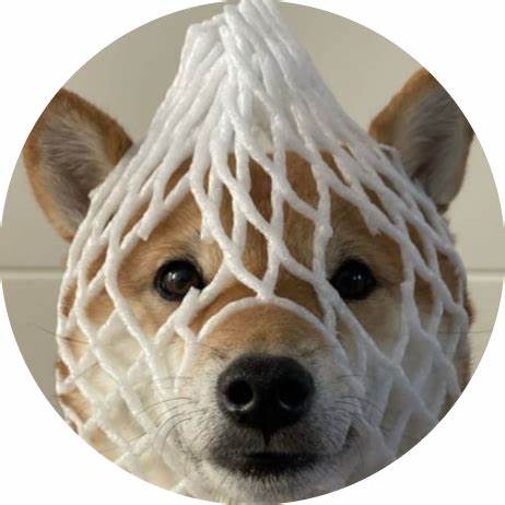 Wrapped DOG Price: WDOG Live Price Chart, Market Cap & News Today - CoinGecko Buzz