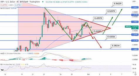 XRP to $1? XRP Price Forms Important Bull Pattern - U.Today