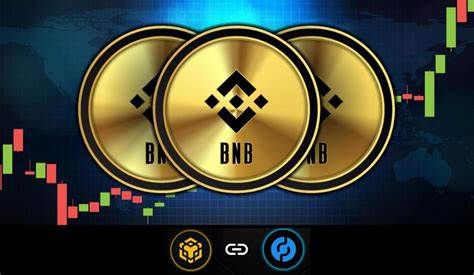 The Development of Binance Coin: A Transition from Token to Ecosystem