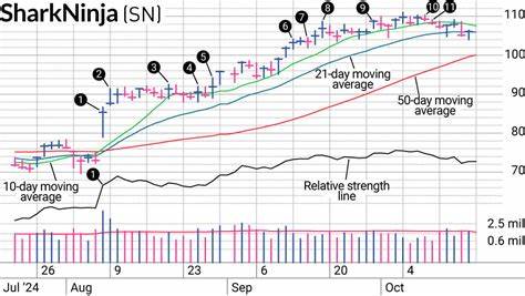 SharkNinja Stock Gets Relative Strength Rating Lift