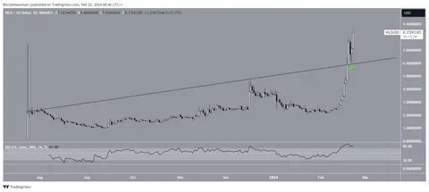 Worldcoin (WLD) Plummets 24%: Is It Still Worth the Investment - The Currency Analytics