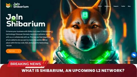 Shiba Inu Team Says Launching K9 Finance Liquid Staking On Shibarium Tomorrow: Are SHIB Burns Set To Accelerate From Here On Now?