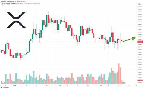 XRP Price Could Soon Surge: Can Bulls Fuel the Rally?