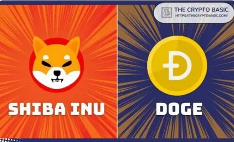 ‘Much Wows Incoming’: Shiba Inu Predicts Taking Over Doge with ‘Secret Wags’ - The Crypto Basic