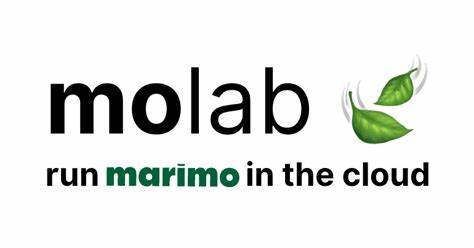 Show HN: Molab, a cloud-hosted Marimo notebook workspace