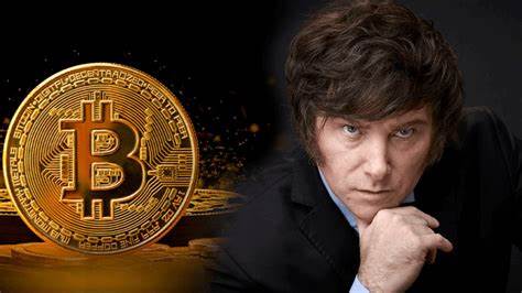 Argentine president defends his cryptocurrency tweet after crash, comparing losses to gambling