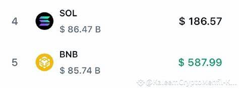 SOL Flips BNB on Back of Multi-Million Dollar Treasury Bet and DeFi Surge