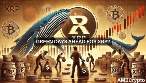 XRP token whales accumulate more tokens amid market price drop - Cryptopolitan