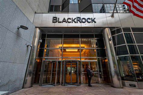 BlackRock, Grayscale named top Bitcoin-holding companies in the world - Cryptopolitan