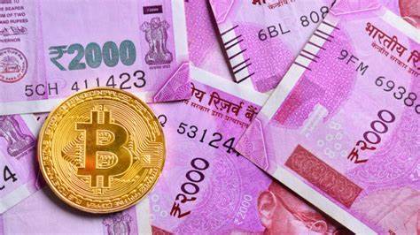 Eight arrested in Sriganganagar for Rs 21 cr crypto, forex trading scam - Times of India