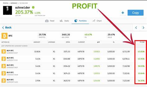 92% of Bitcoin investors are in profit, but is a crash coming next?