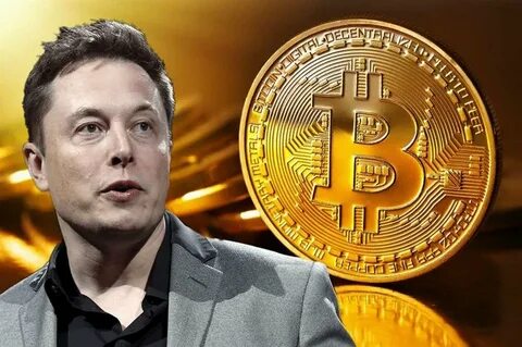 Elon Musk makes the price of Bitcoin go up - The Cryptonomist