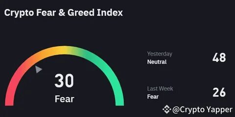 Cryptocurrency Fear and Greed Index Declines to Panic Level - Binance