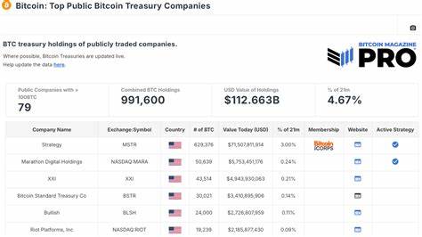 Are Bitcoin Treasury Companies Still a Smart Investment in 2025?