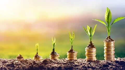 Best 6 Coins for Long Term Growth: Invest Today for the Future - Analytics Insight