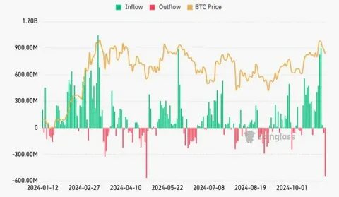 Best Cryptos to Buy Now for Maximum Profit As US Bitcoin ETFs Notch Second-Largest Daily Outflow on Eve of Election - Businessday