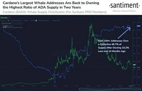 Whales Sell Ripple and Cardano, Doubles Down on This AI Coin Set To Soar 10x in Q1 2025 - Analytics Insight