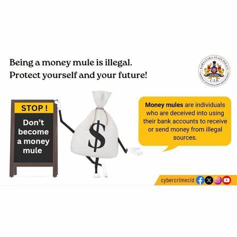 Study of money mules in Karnataka cybercrimes calls for regulation of cryptocurrency to check galloping crime rate