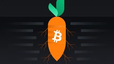 What is Bitcoin's Taproot upgrade? - The Block